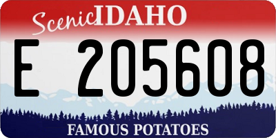 ID license plate E205608