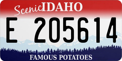 ID license plate E205614