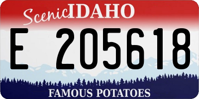 ID license plate E205618