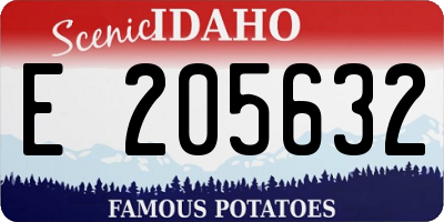 ID license plate E205632