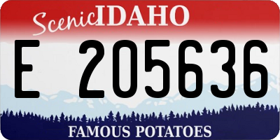 ID license plate E205636