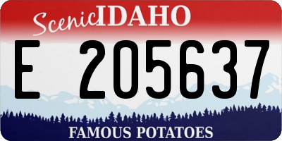 ID license plate E205637