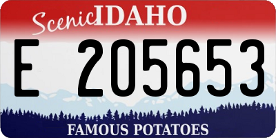 ID license plate E205653