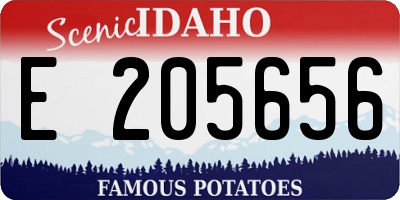 ID license plate E205656