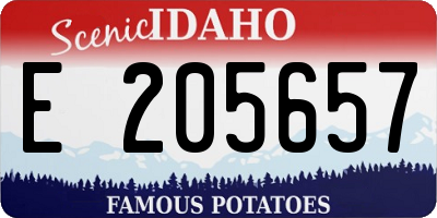 ID license plate E205657