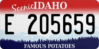 ID license plate E205659
