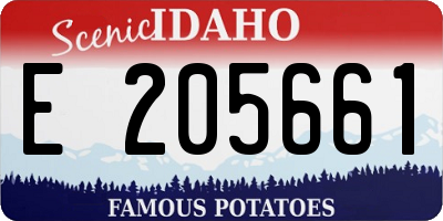 ID license plate E205661