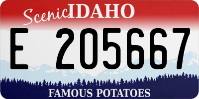 ID license plate E205667