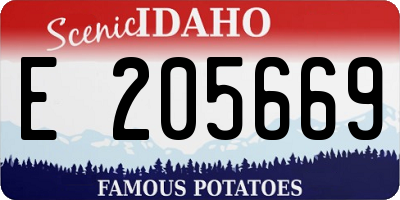 ID license plate E205669