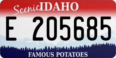 ID license plate E205685