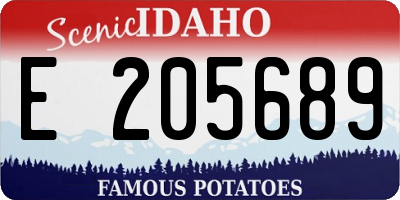 ID license plate E205689