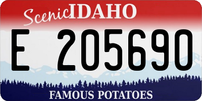 ID license plate E205690