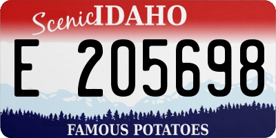 ID license plate E205698