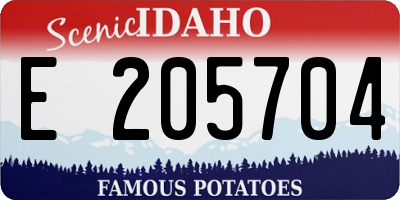 ID license plate E205704