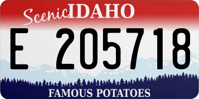 ID license plate E205718