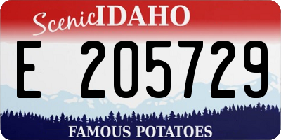 ID license plate E205729