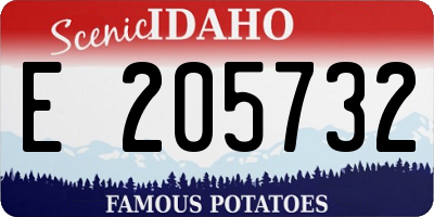ID license plate E205732