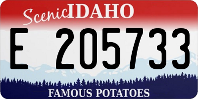 ID license plate E205733