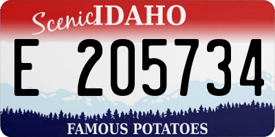 ID license plate E205734