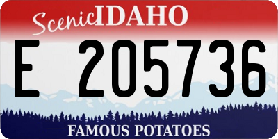 ID license plate E205736