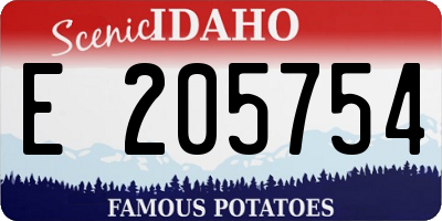 ID license plate E205754