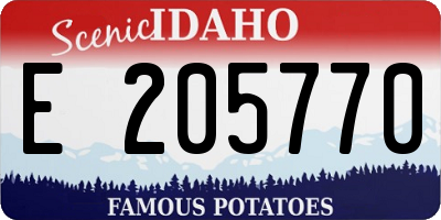 ID license plate E205770
