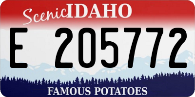 ID license plate E205772