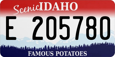 ID license plate E205780