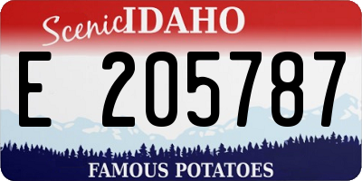 ID license plate E205787