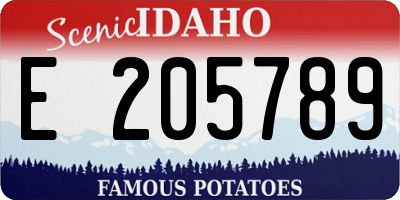 ID license plate E205789