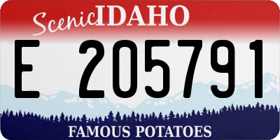 ID license plate E205791