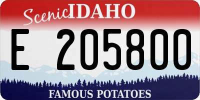 ID license plate E205800