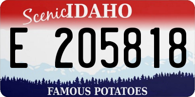 ID license plate E205818