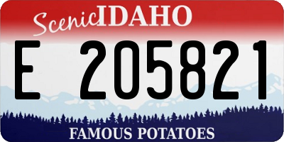 ID license plate E205821
