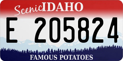 ID license plate E205824