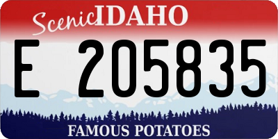 ID license plate E205835