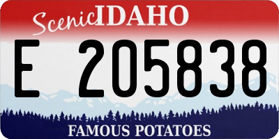 ID license plate E205838
