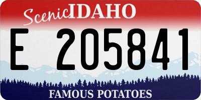 ID license plate E205841
