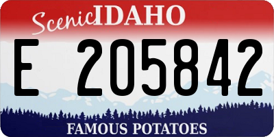 ID license plate E205842