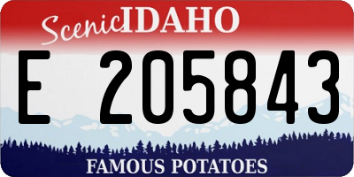 ID license plate E205843