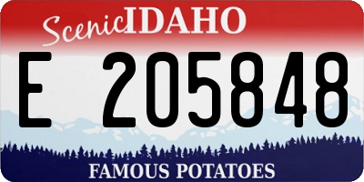 ID license plate E205848