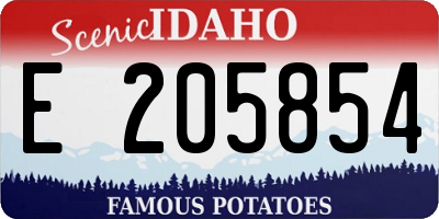 ID license plate E205854