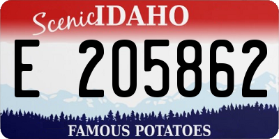 ID license plate E205862