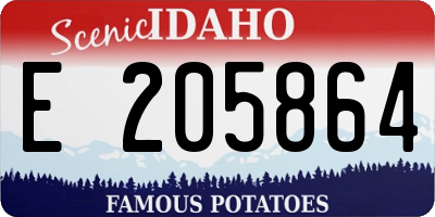 ID license plate E205864