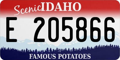 ID license plate E205866
