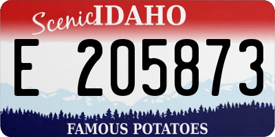ID license plate E205873