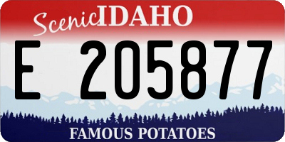 ID license plate E205877