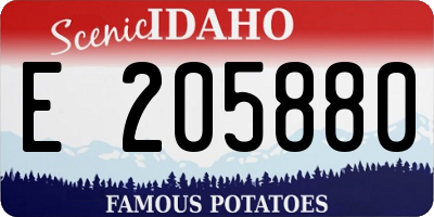 ID license plate E205880
