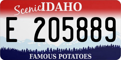 ID license plate E205889