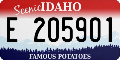 ID license plate E205901